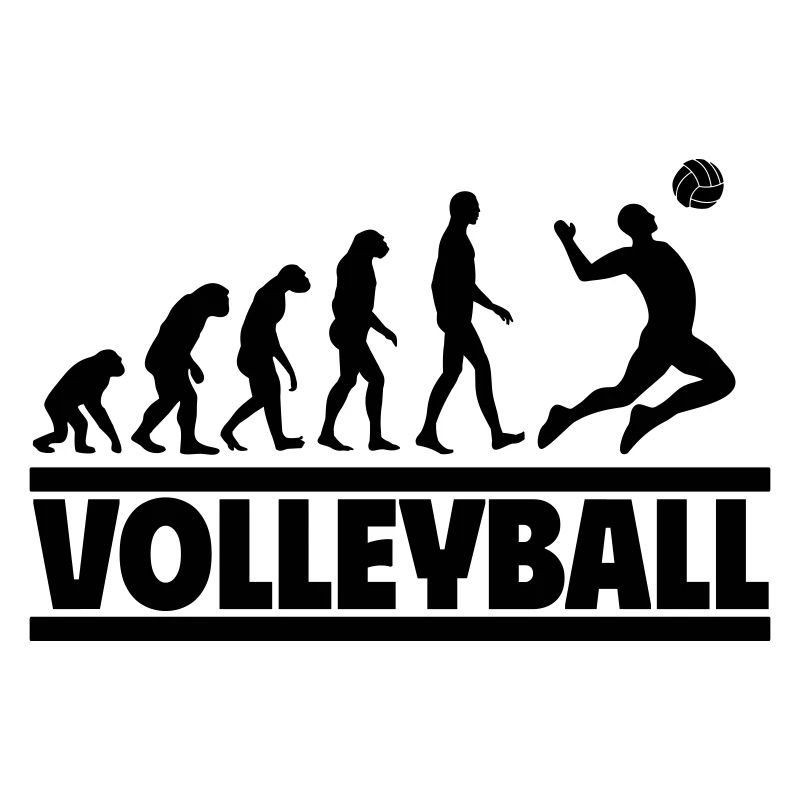 Volleyball Evolution: From Human to Volleyball Player