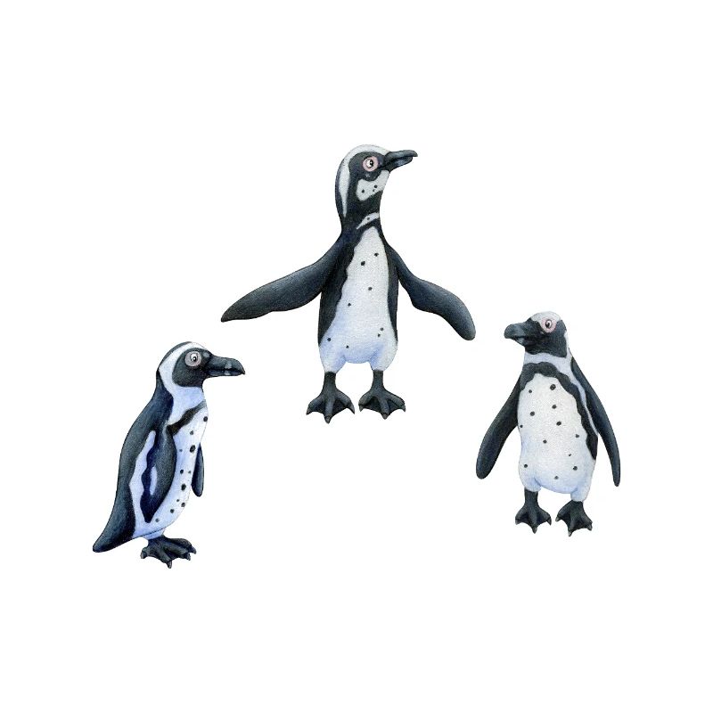 Penguins