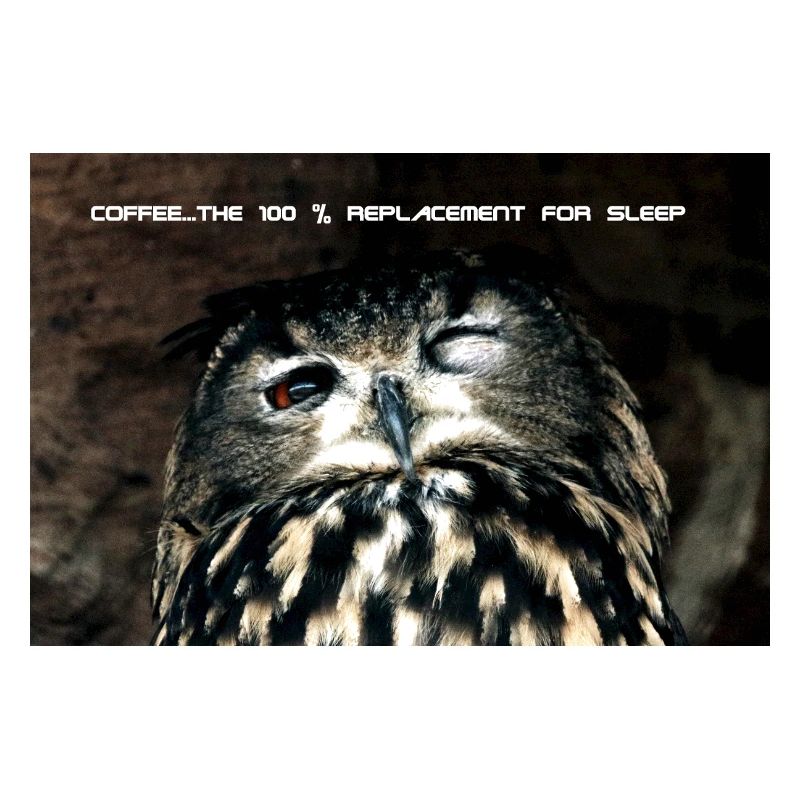 Eule, 100% replacement for coffee