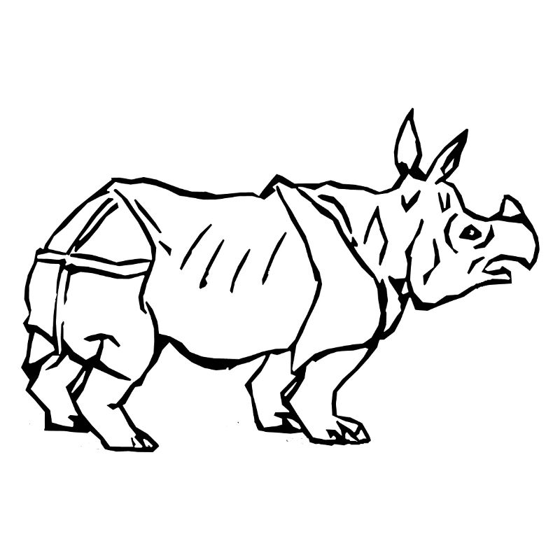 Nashorn