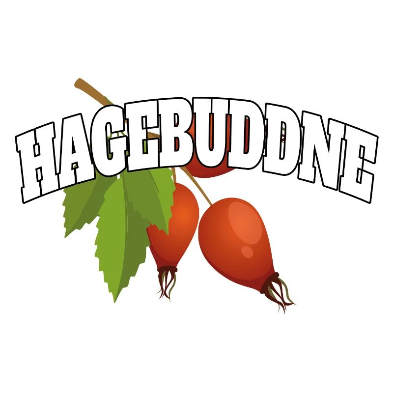 Hagebuddne – Diction de jeu de mots sur le mème