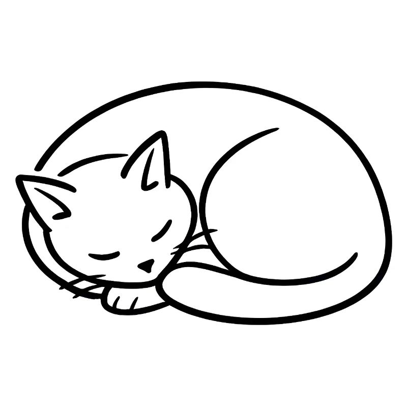 Étude de la lignée du chat endormi
