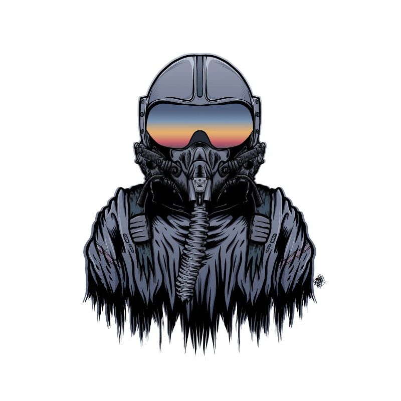 Fighter pilot