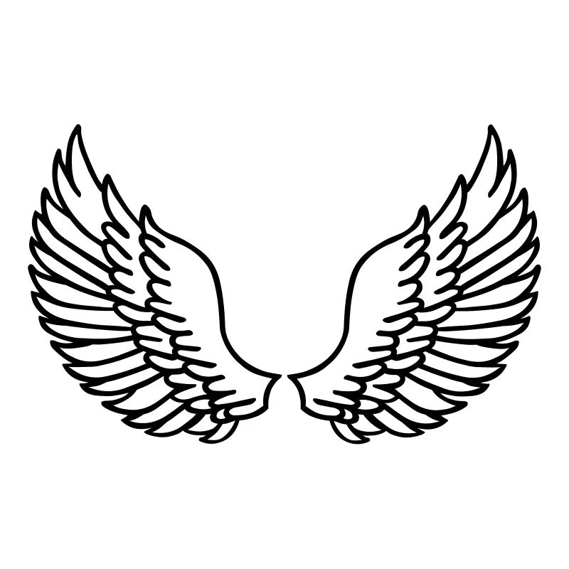 Wings