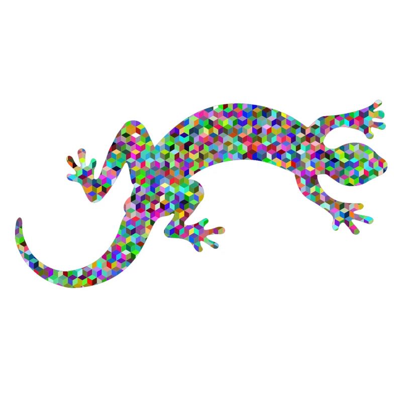 Gecko, Salamander, patterncontest