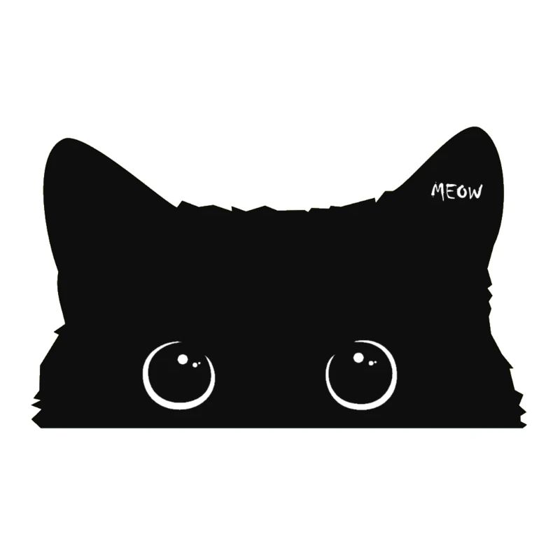 Black cat