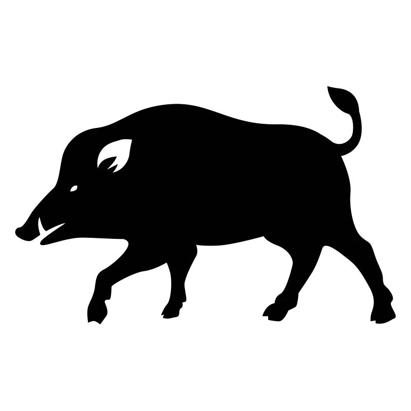 boar