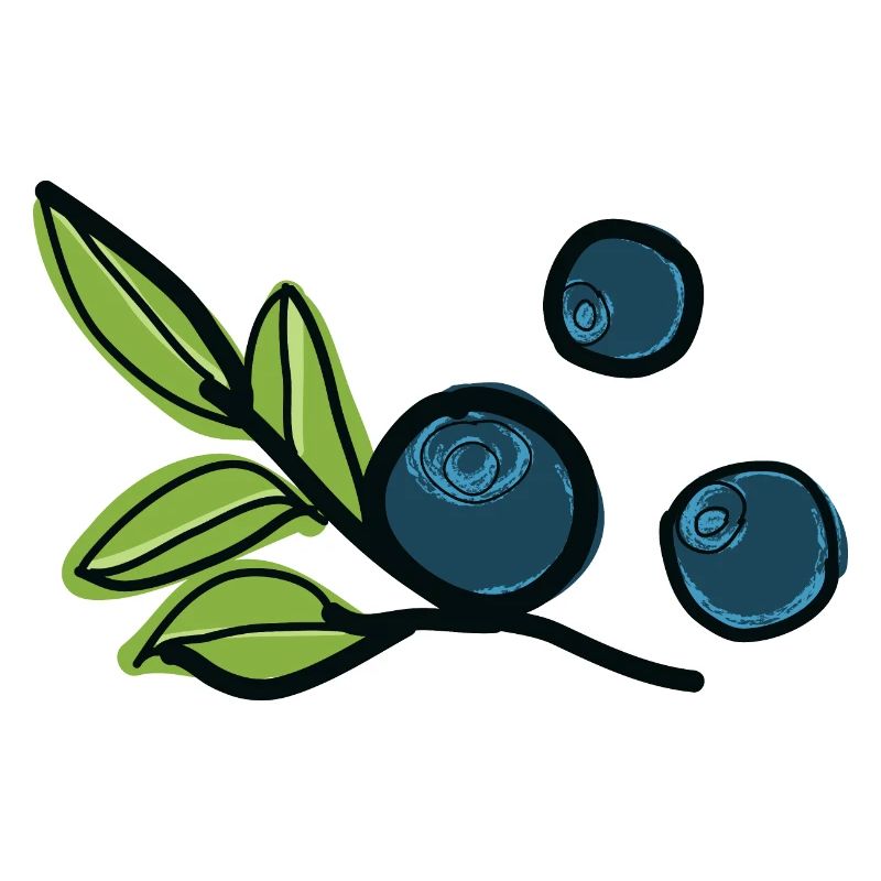 Bilberries fruit