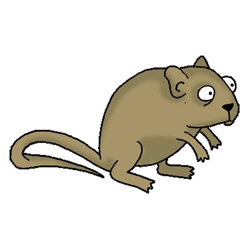 Maus