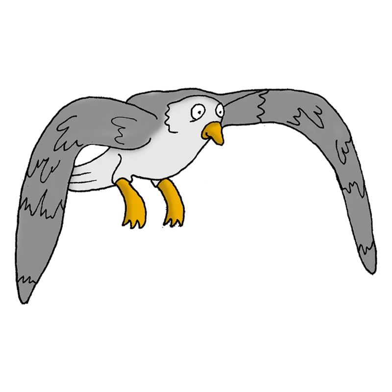 Möwe