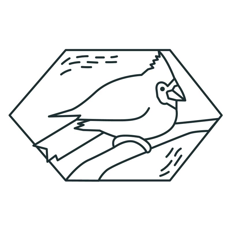 Diamond cardinal bird