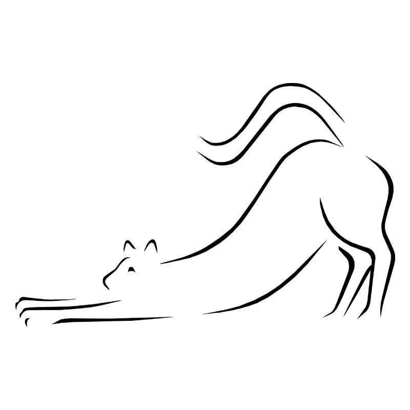chat