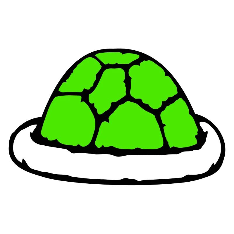 Turtle shell without turtle cute shell