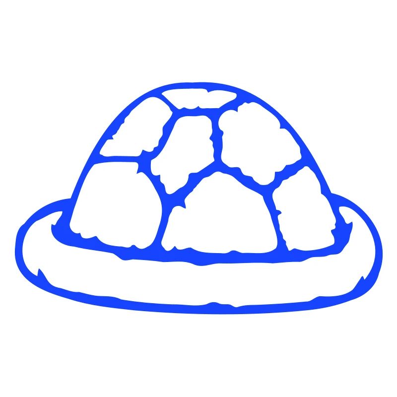 Turtle shell without turtle cute shell
