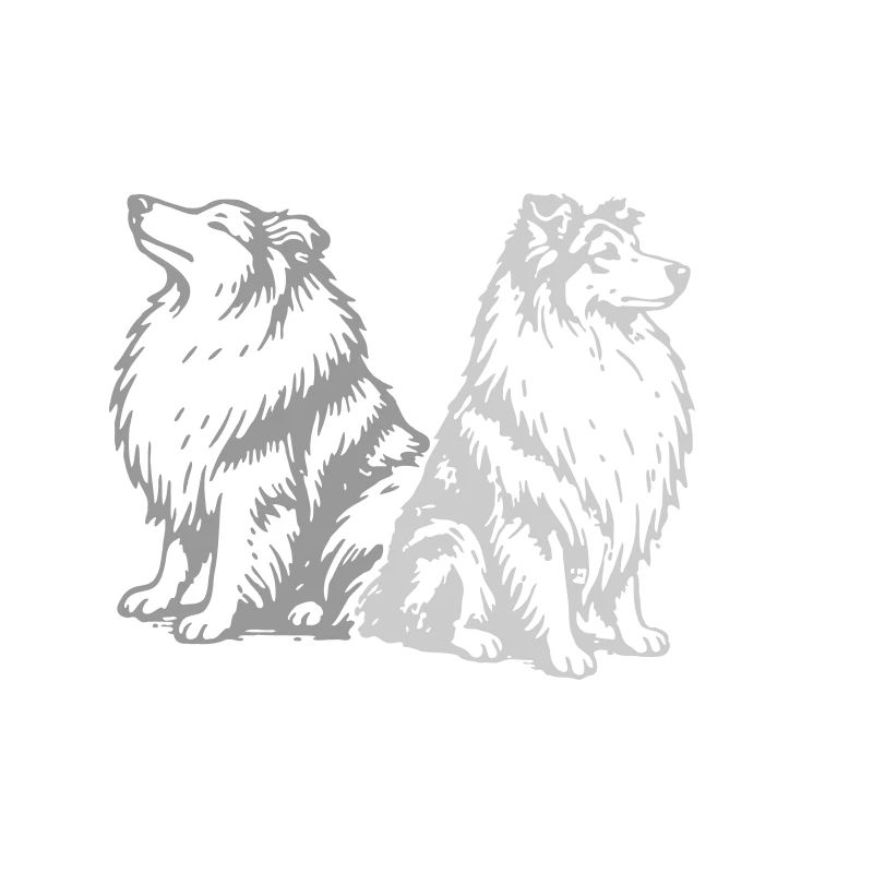 Driftball (3 colours)