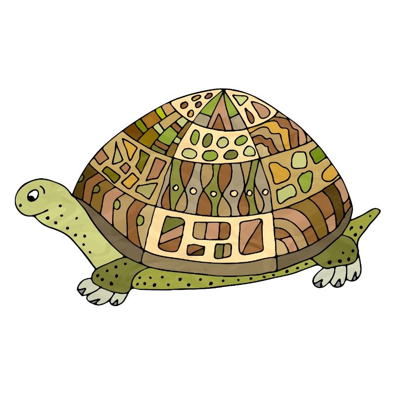 tortoise