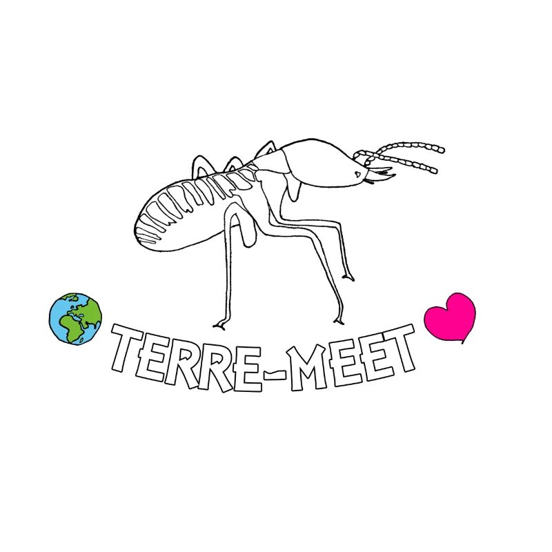 Terre-Meet