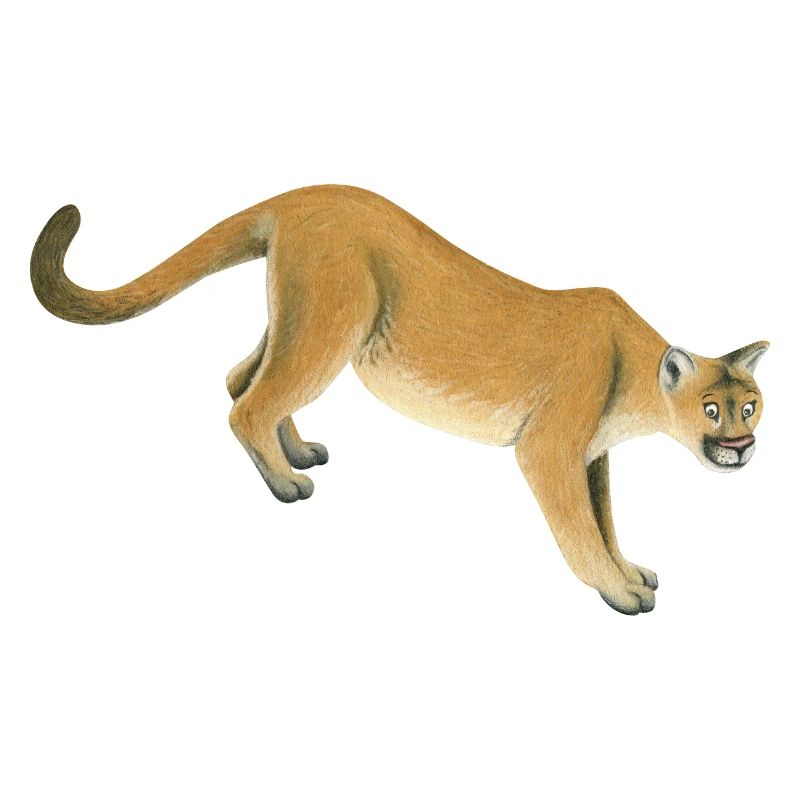Berglöwe