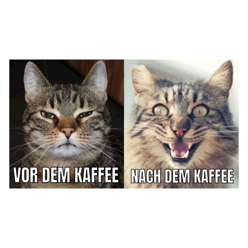 Nach und Vor dem Kaffe
