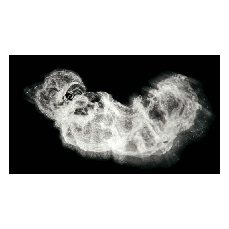 Nocturnal/Lost [First]