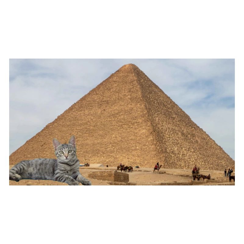 Cat and Pyramid