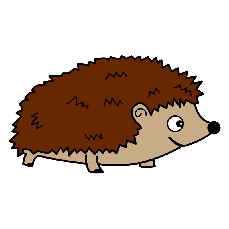 igel 02