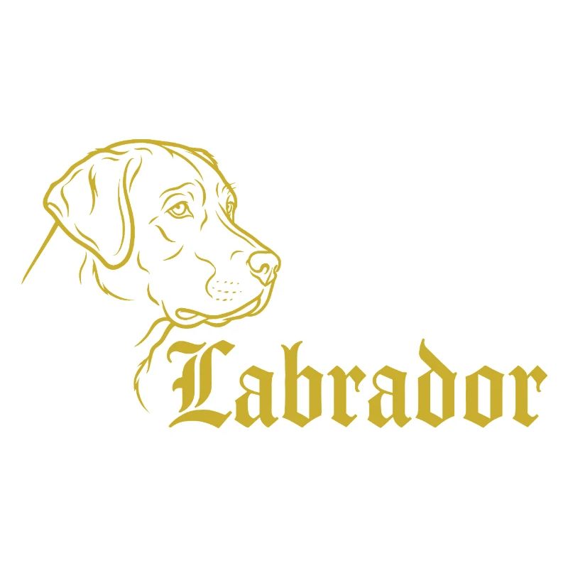 Labrador – Timeless elegance