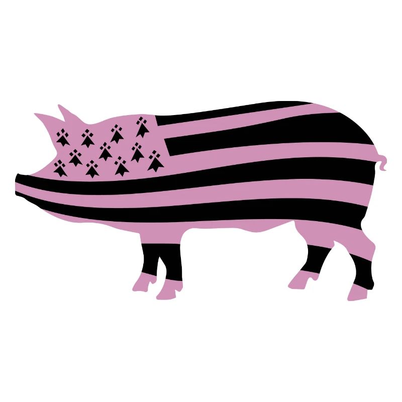 BRETAGNE - BZH - COCHON