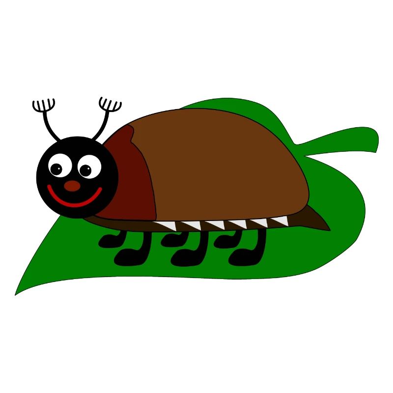 Maikäfer auf einem Blatt