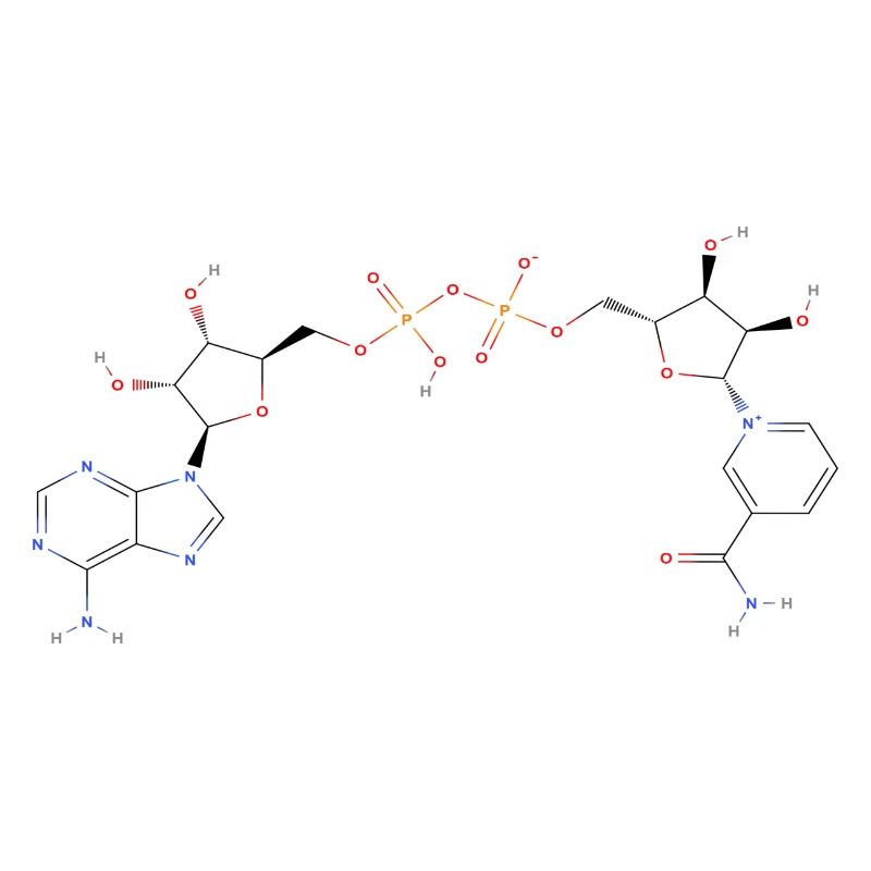 Nicotinamid-Adenin-Dinukleotid-Molekül - Farbe