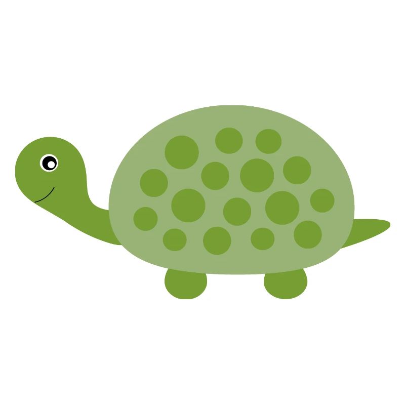 Turtle Turtles