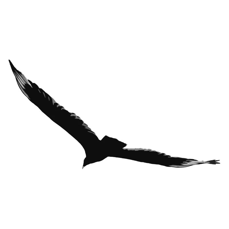 Flying eagle