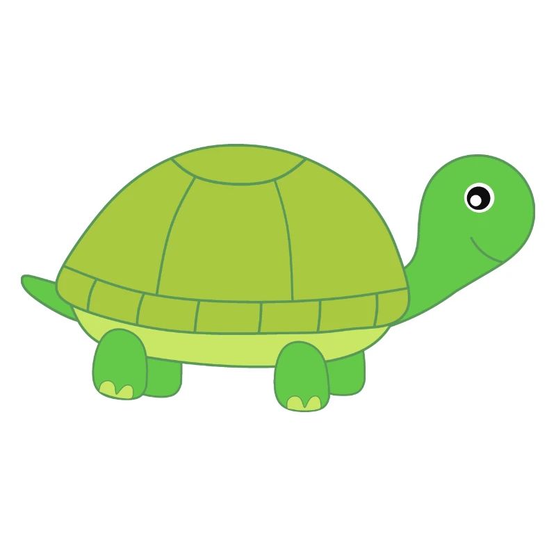 Turtle Turtles