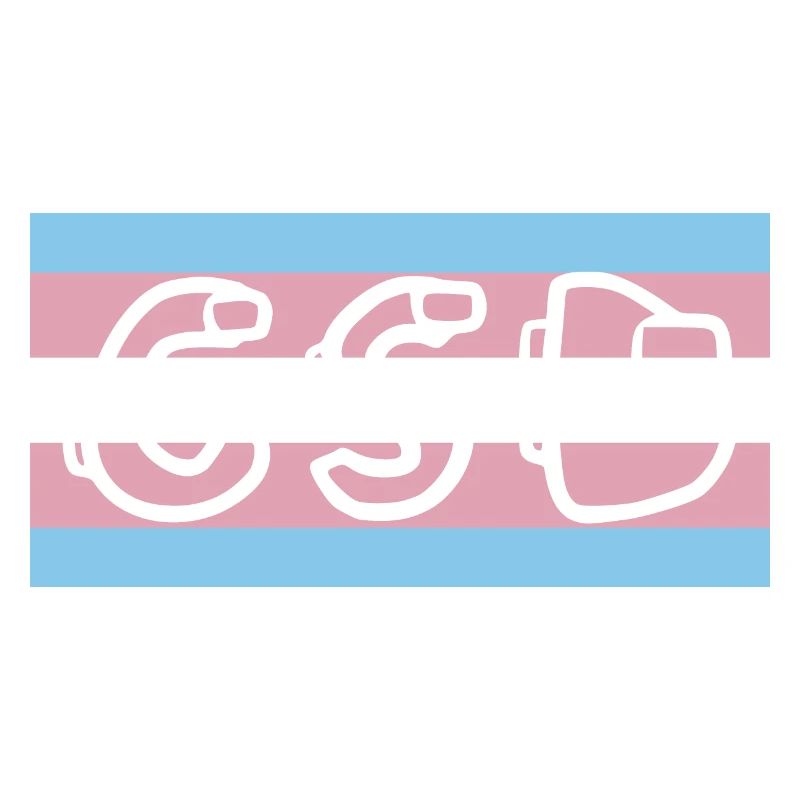 Trans Pride Flag CSD