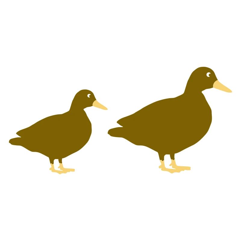 Canards