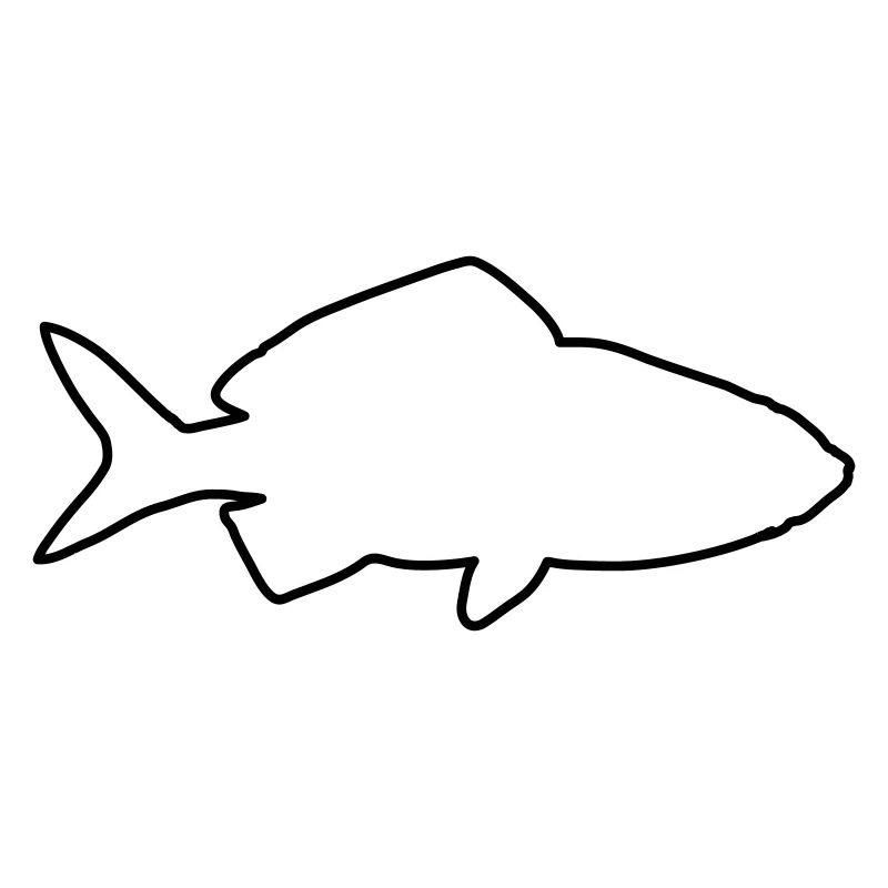 Goldfish 1