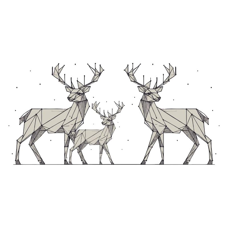Hirsch 2D