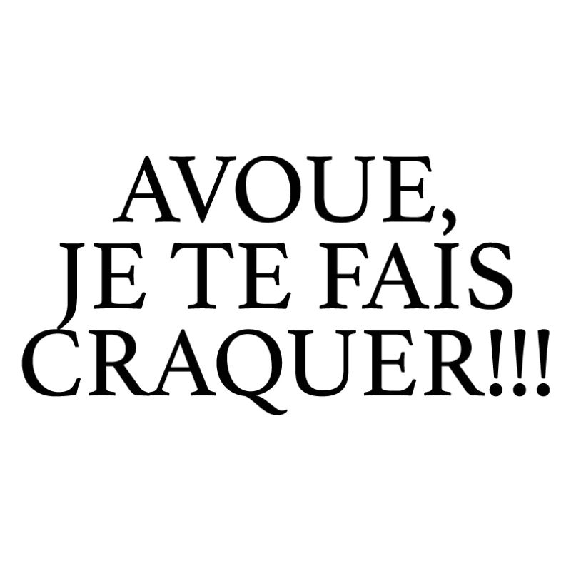 JE TE FAIS CRAQUER
