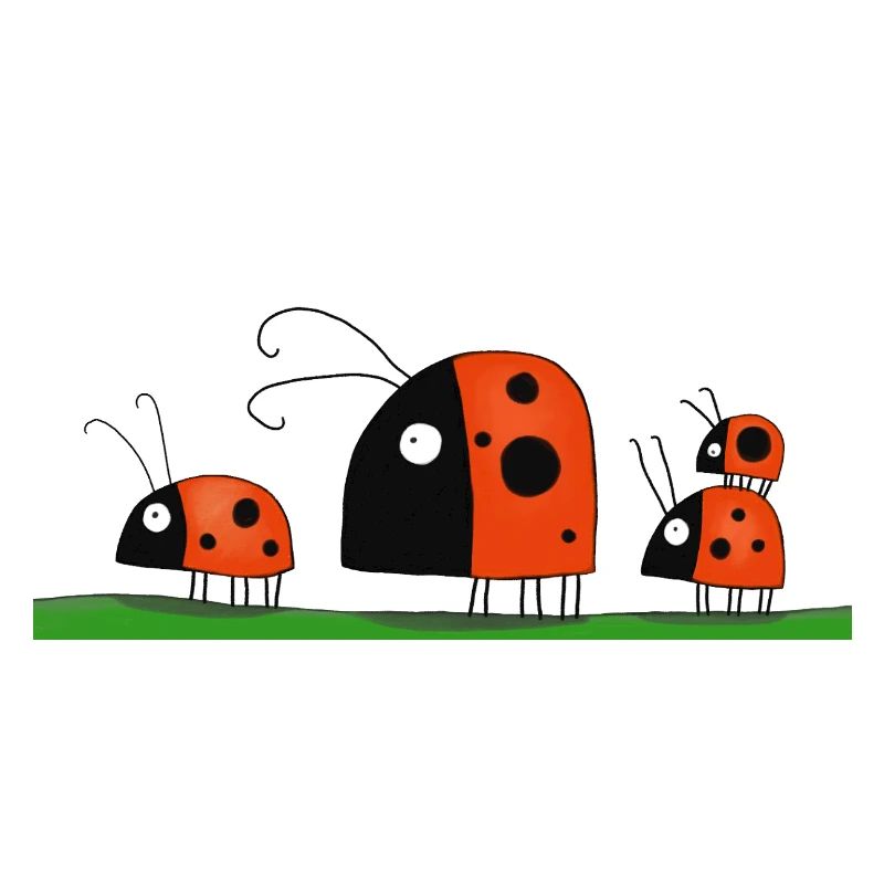 funny ladybugs
