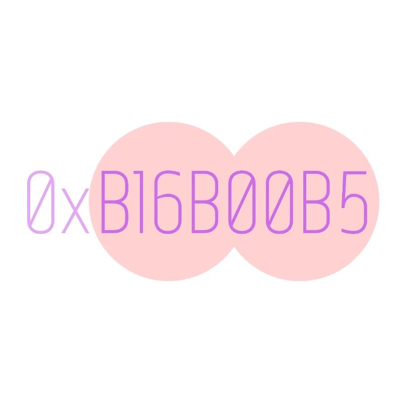 0xB16B00B5 Leetspeak