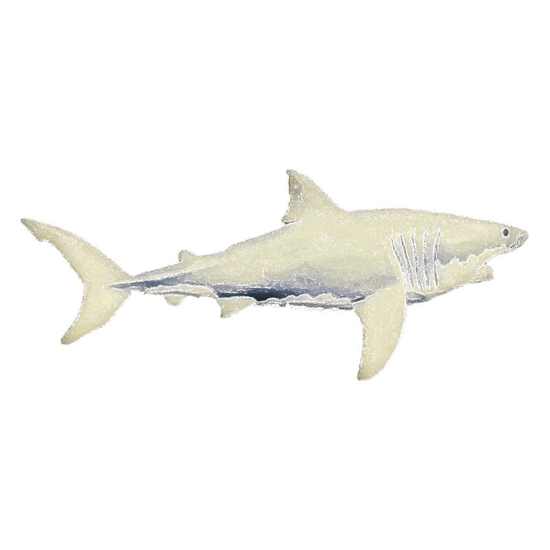 Grands requins blancs requins de mer ailerons de requin silhouette de l’océan01
