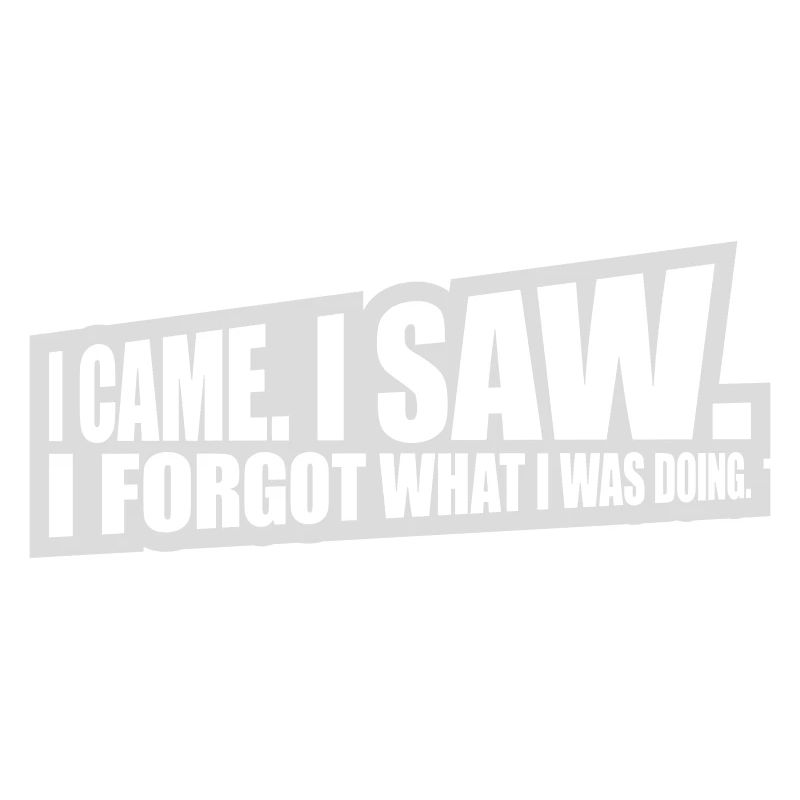 I came saw forget