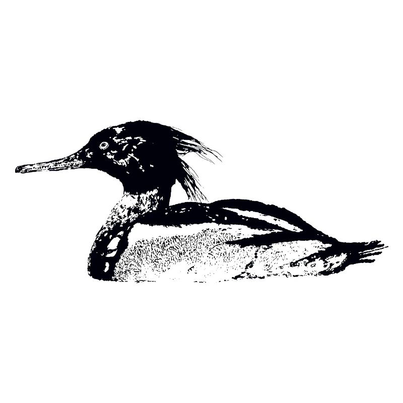 MERGANSER