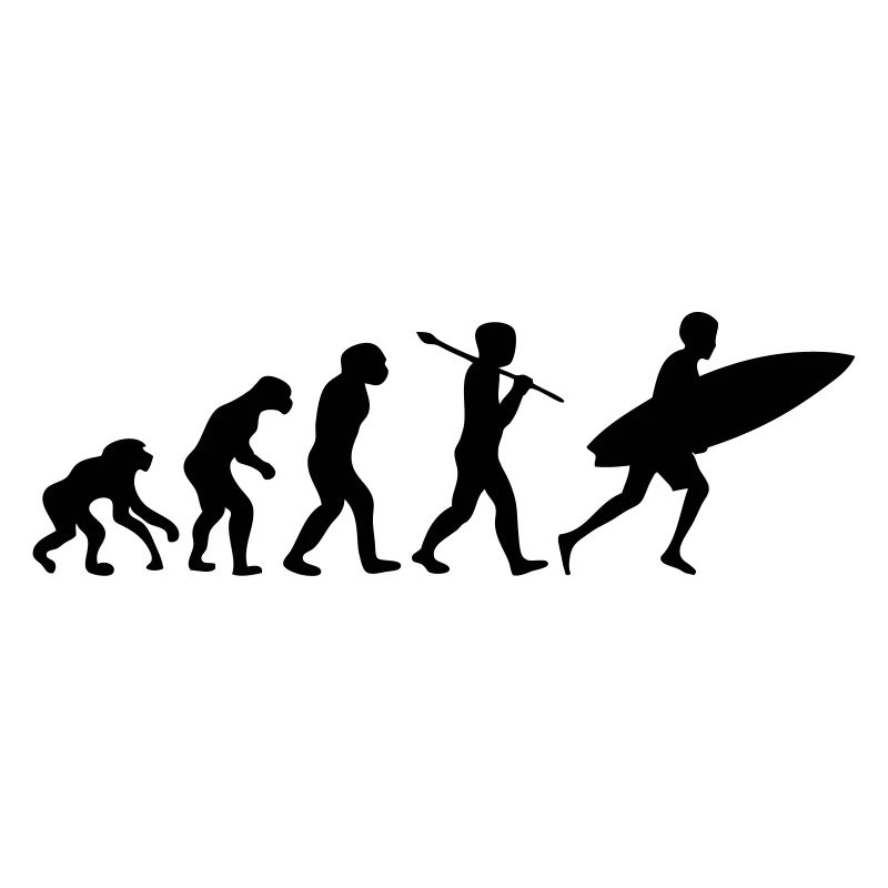 surf Brandung evolution