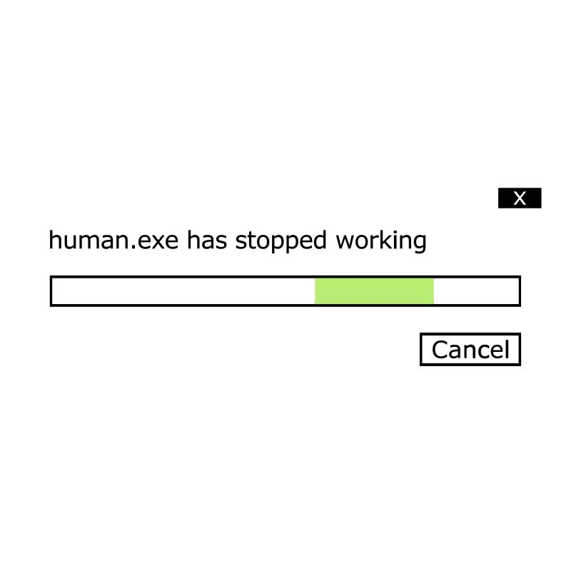 human.exe has stopped working saying human .exe