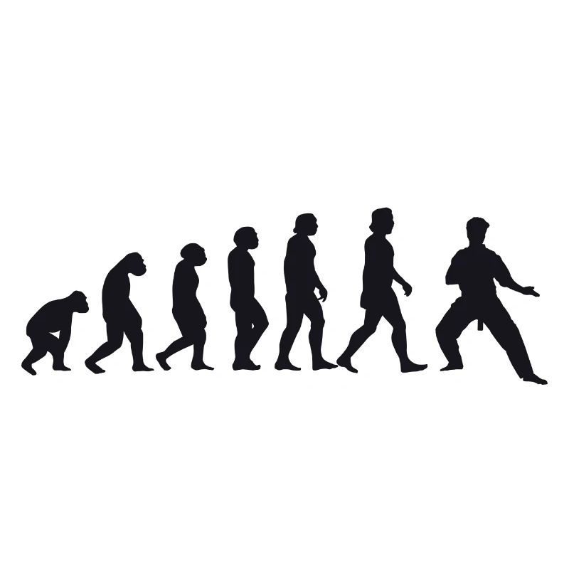 Évolution du karaté
