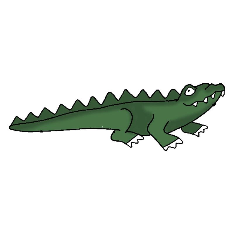 Crocodile