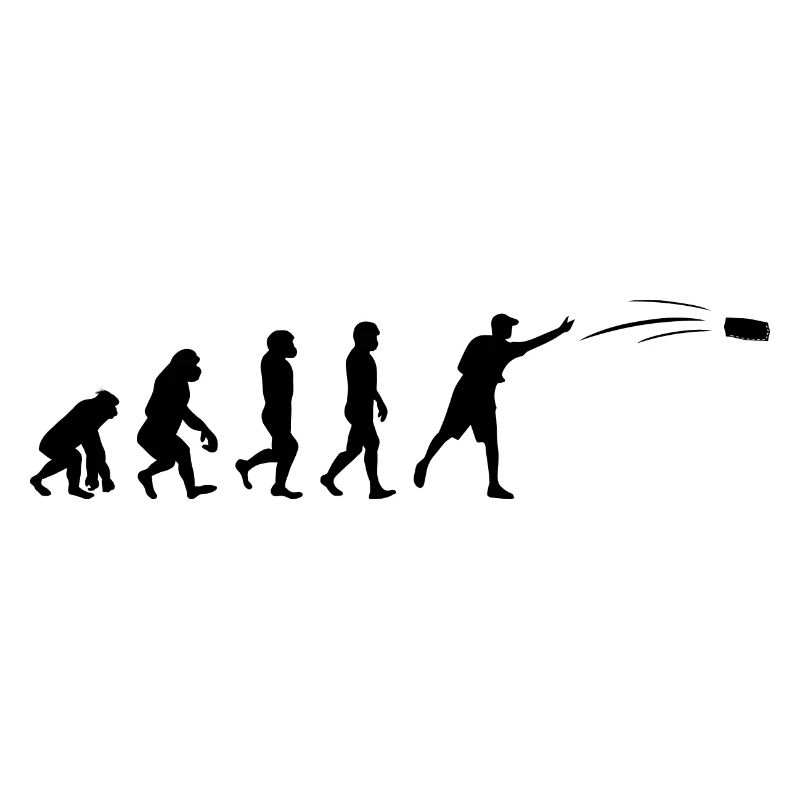 Cornhole Bean Bag Toss Lawn Game Evolution