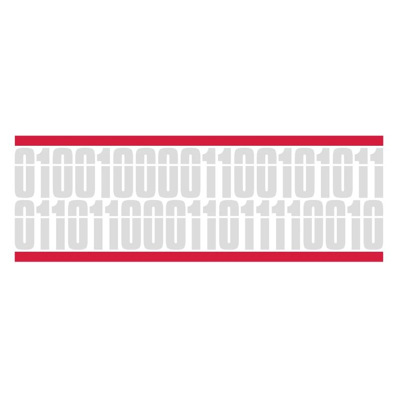 Binary Code Program Language