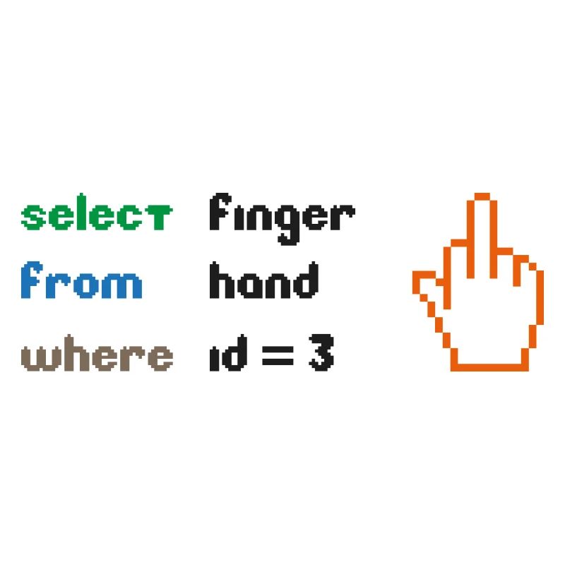 Funny SQL Query: 8-Bit Middle Finger for Geeks